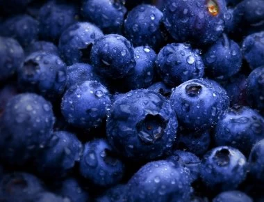 Μύρτιλο: Τα σημαντικά οφέλη του για την υγεία